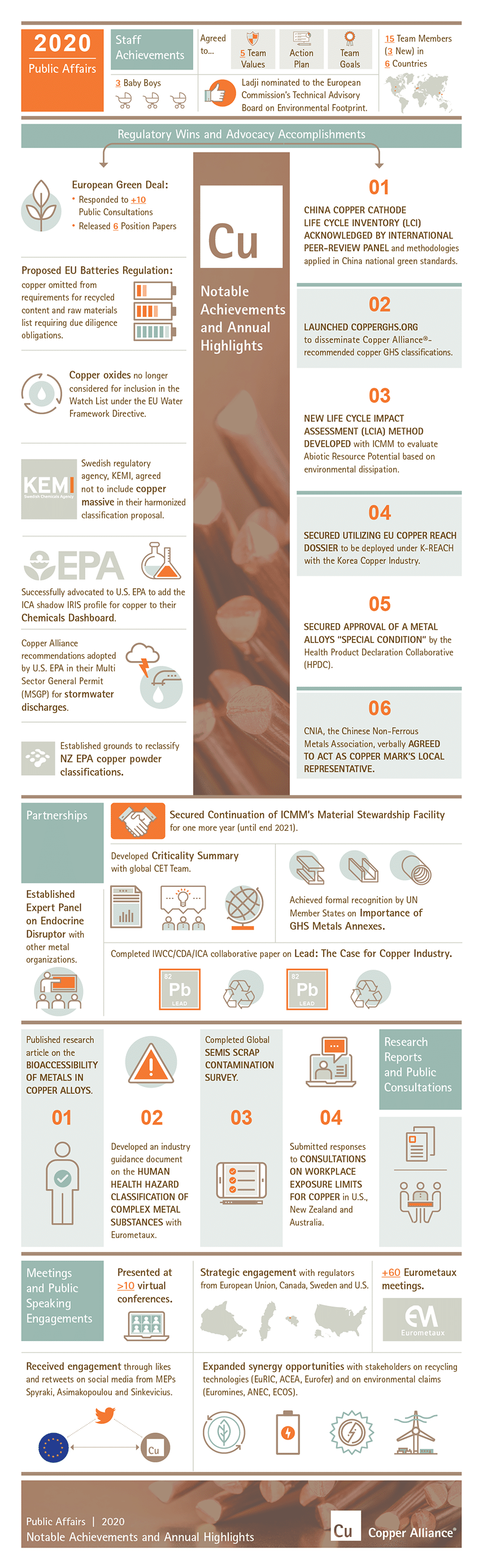 Public Affairs Infographic 2020